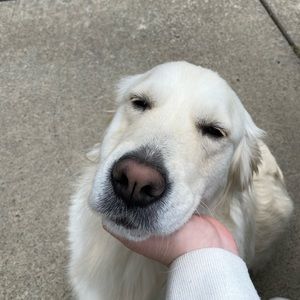 Meet your Posher, Kalee